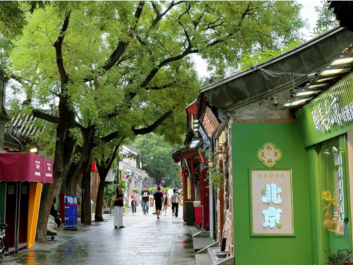 Quiet morning walk through a tree-lined Beijing hutong alley