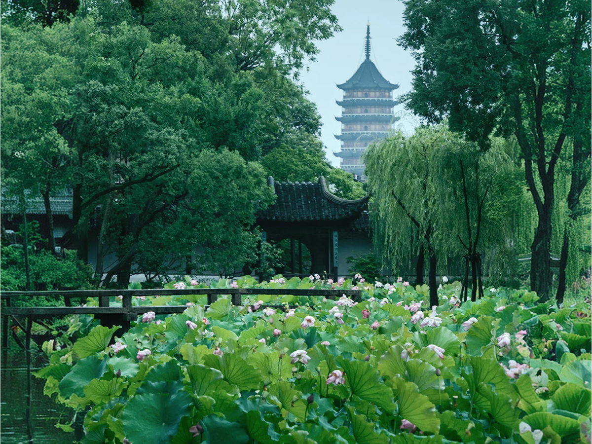 Suzhou gardens