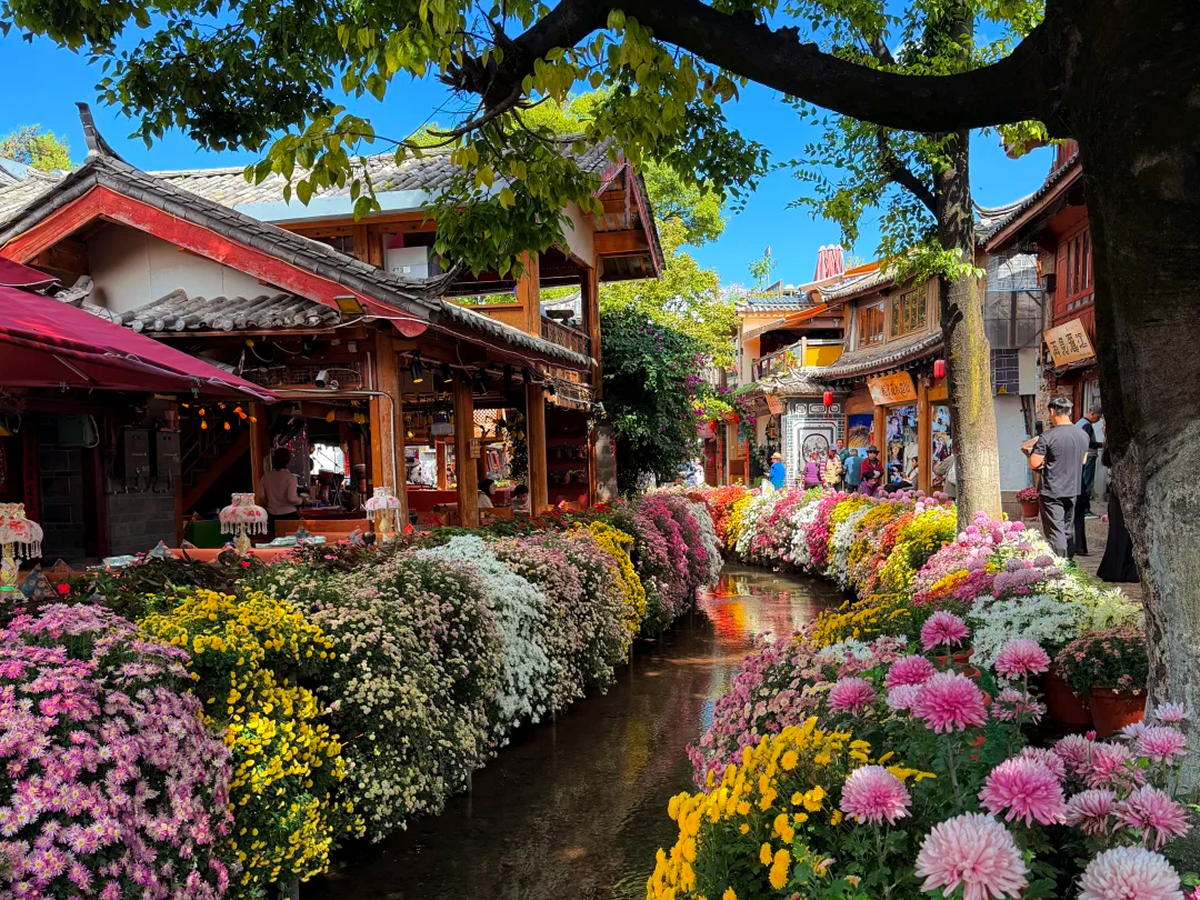 Stream and flowers along a street in Lijiang Old Town