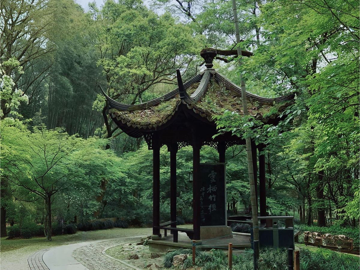 Hangzhou Yunqi Bamboo Trail