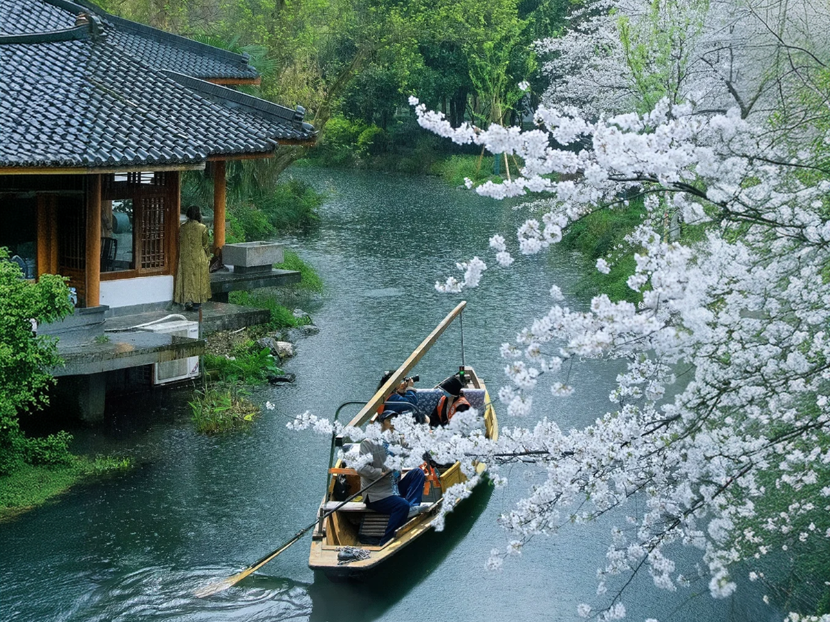 Spring in Hangzhou