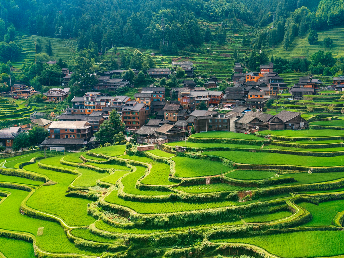 Wooden houses and green rice terraces in Ping'an Village, Longji