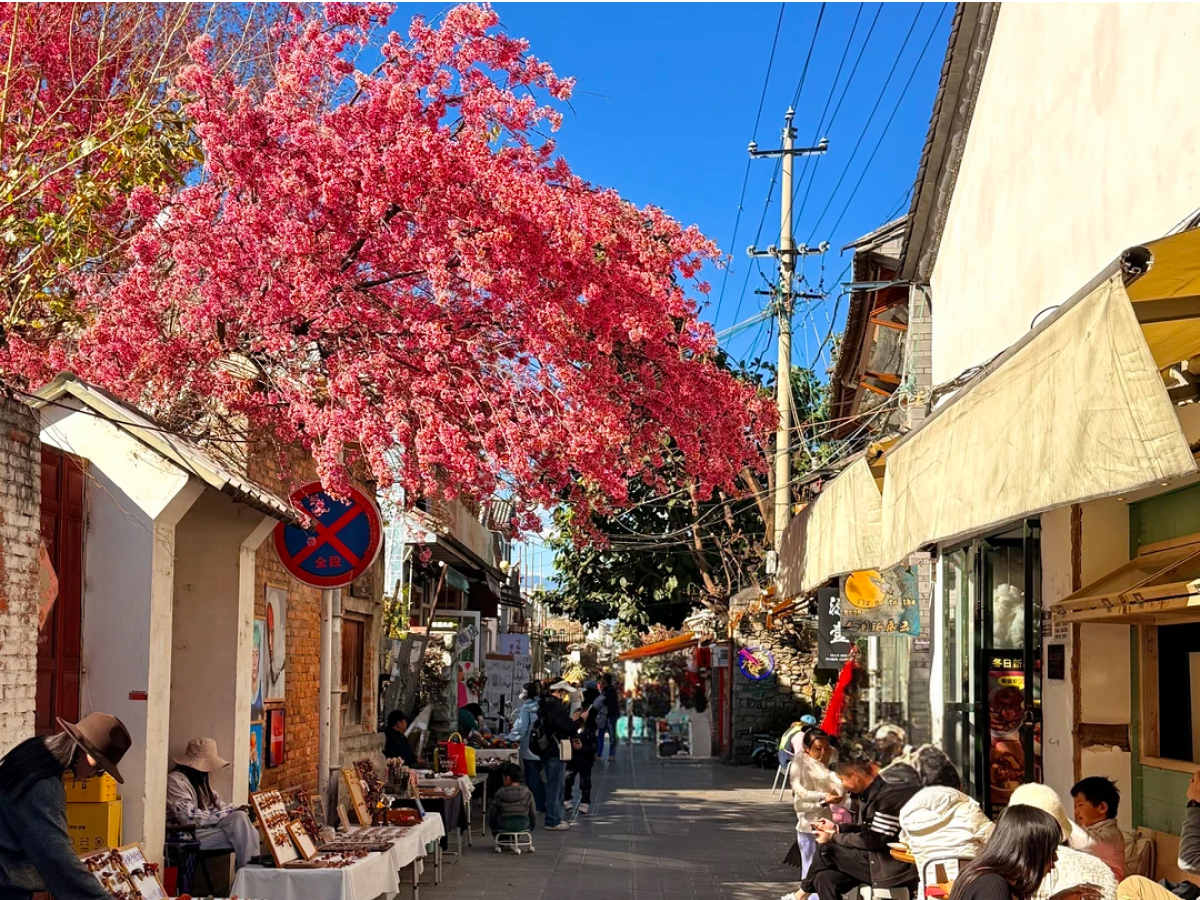 Hotel Dali: Choose a Stay That Fits Your Itinerary
