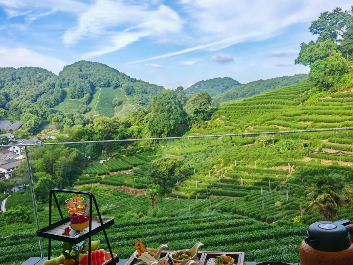 Longjing Hangzhou: Where to Go and How to Fit It In