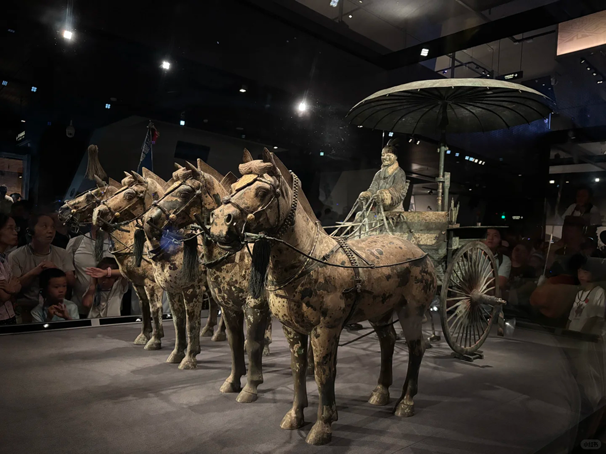 Bronze chariot and horses on display in a Xi'an museum