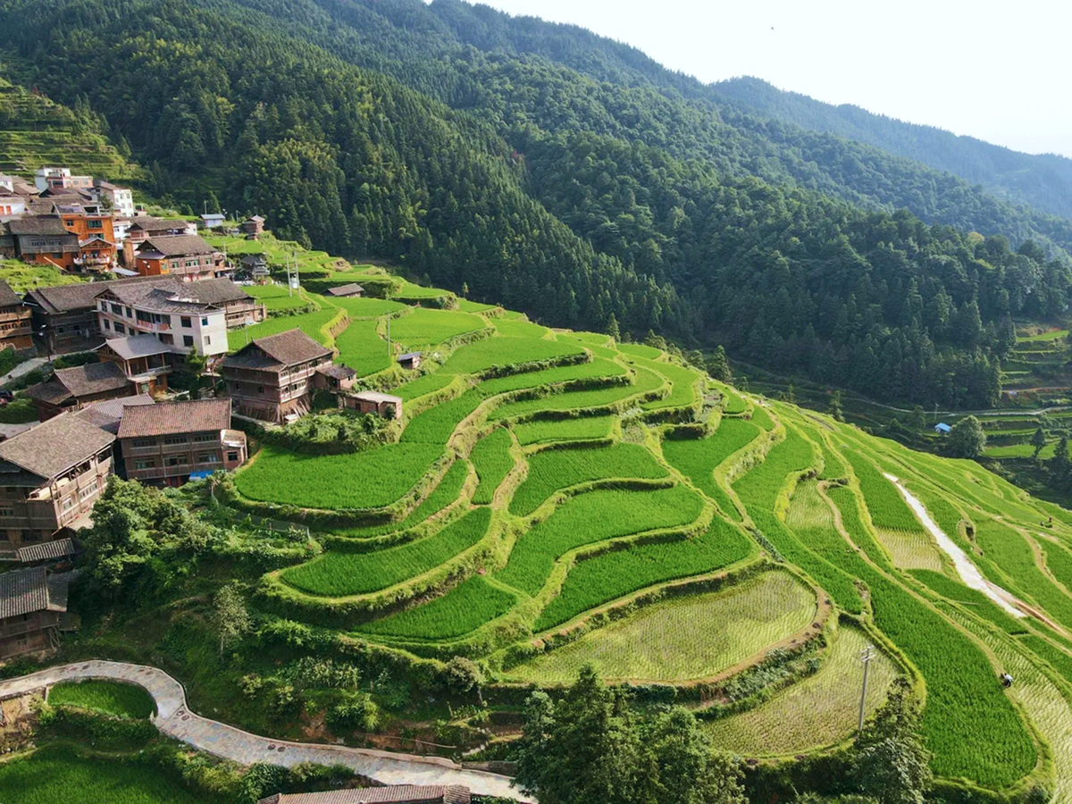 Guilin Longji Rice Terraces