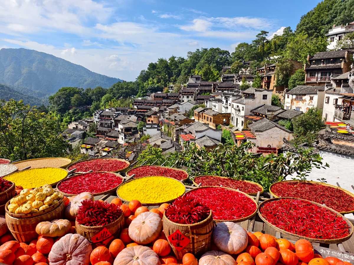 Wuyuan Huangling Sunbathing in Autumn