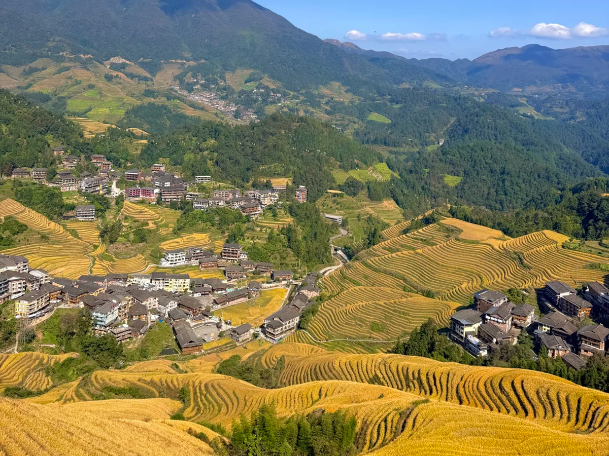 Autumn in Longji Terraced Fields