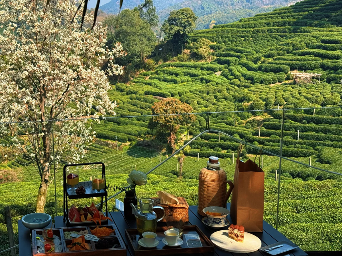 China National Tea Museum: Is a Museum Visit Right for You?