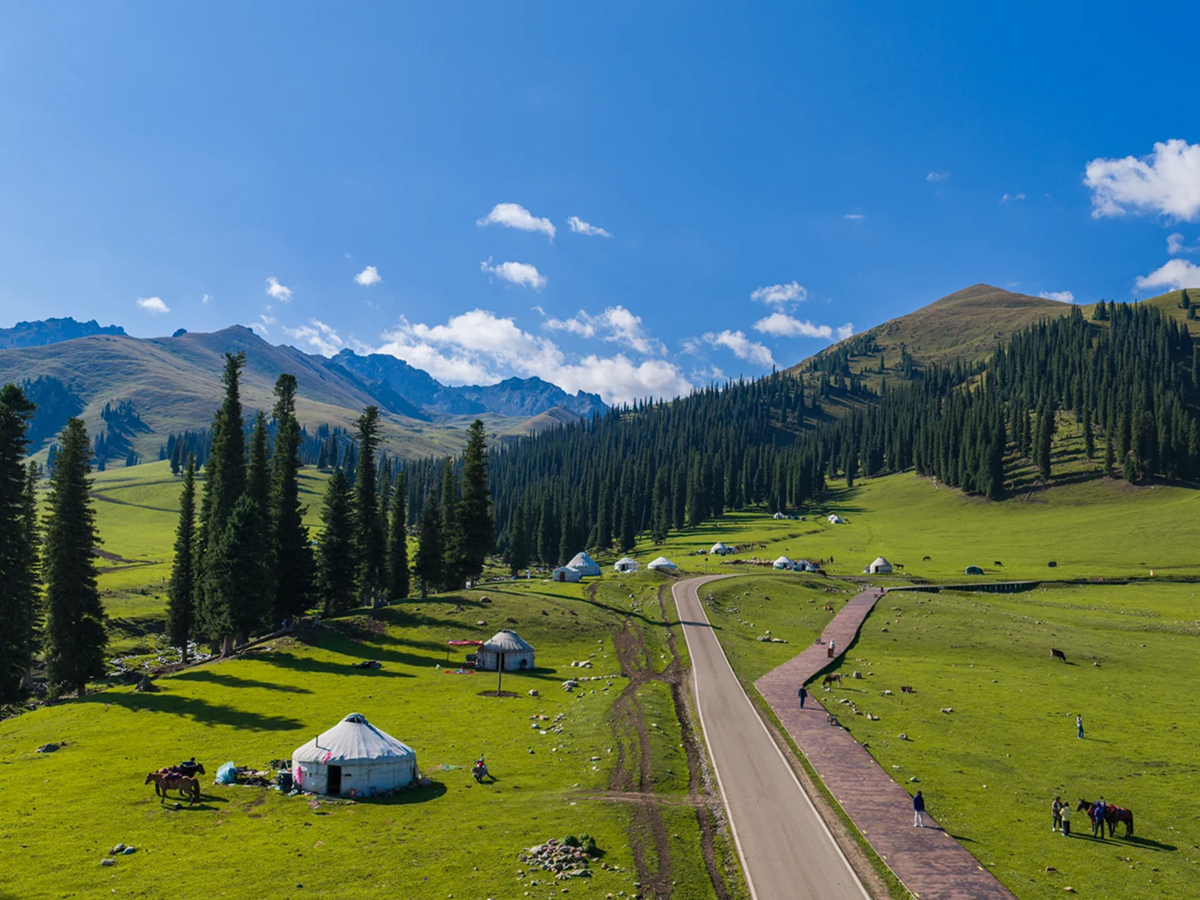 Nalati Grassland