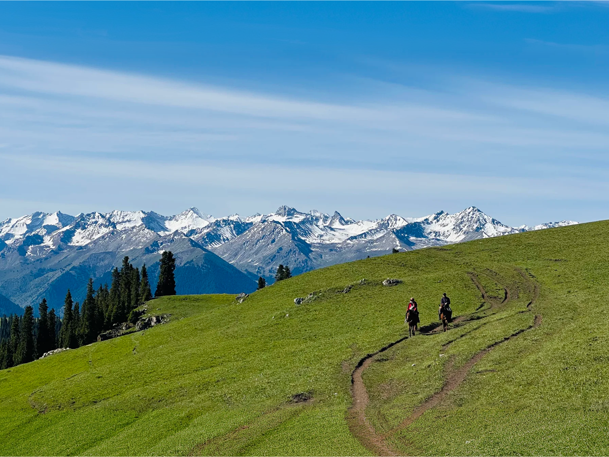 Karakun Grassland