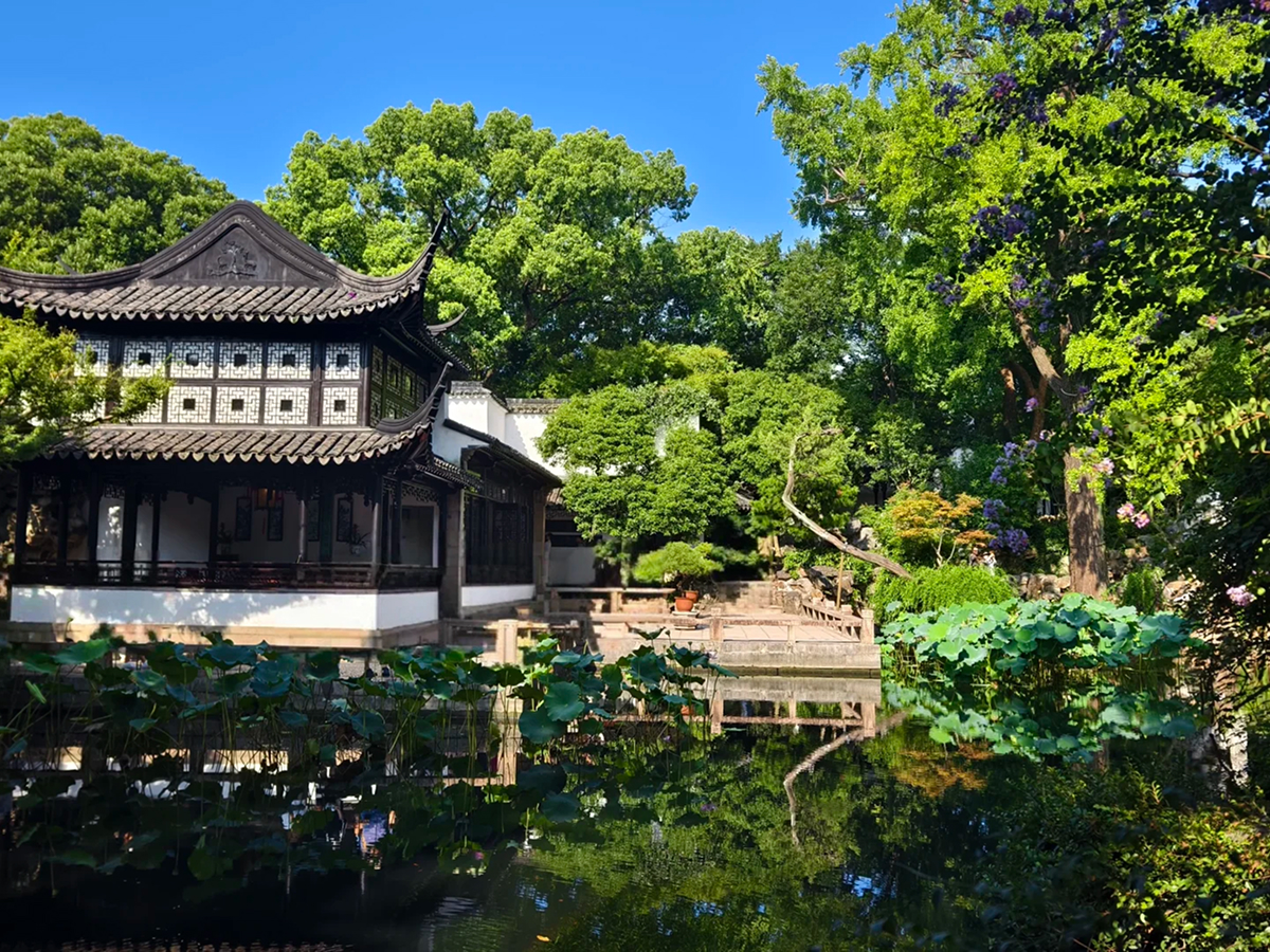 Sunny Lingering Garden