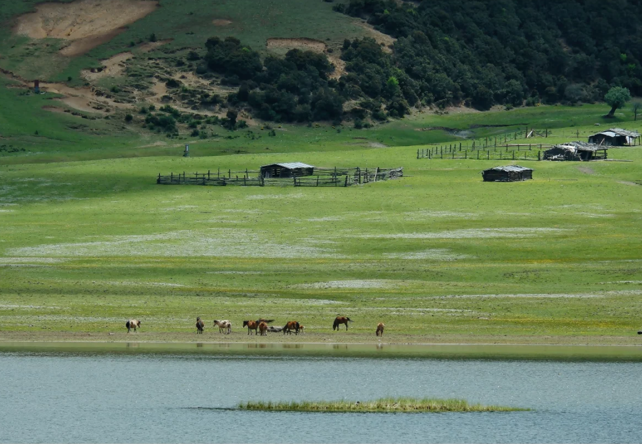 Pudacuo National Park landscape