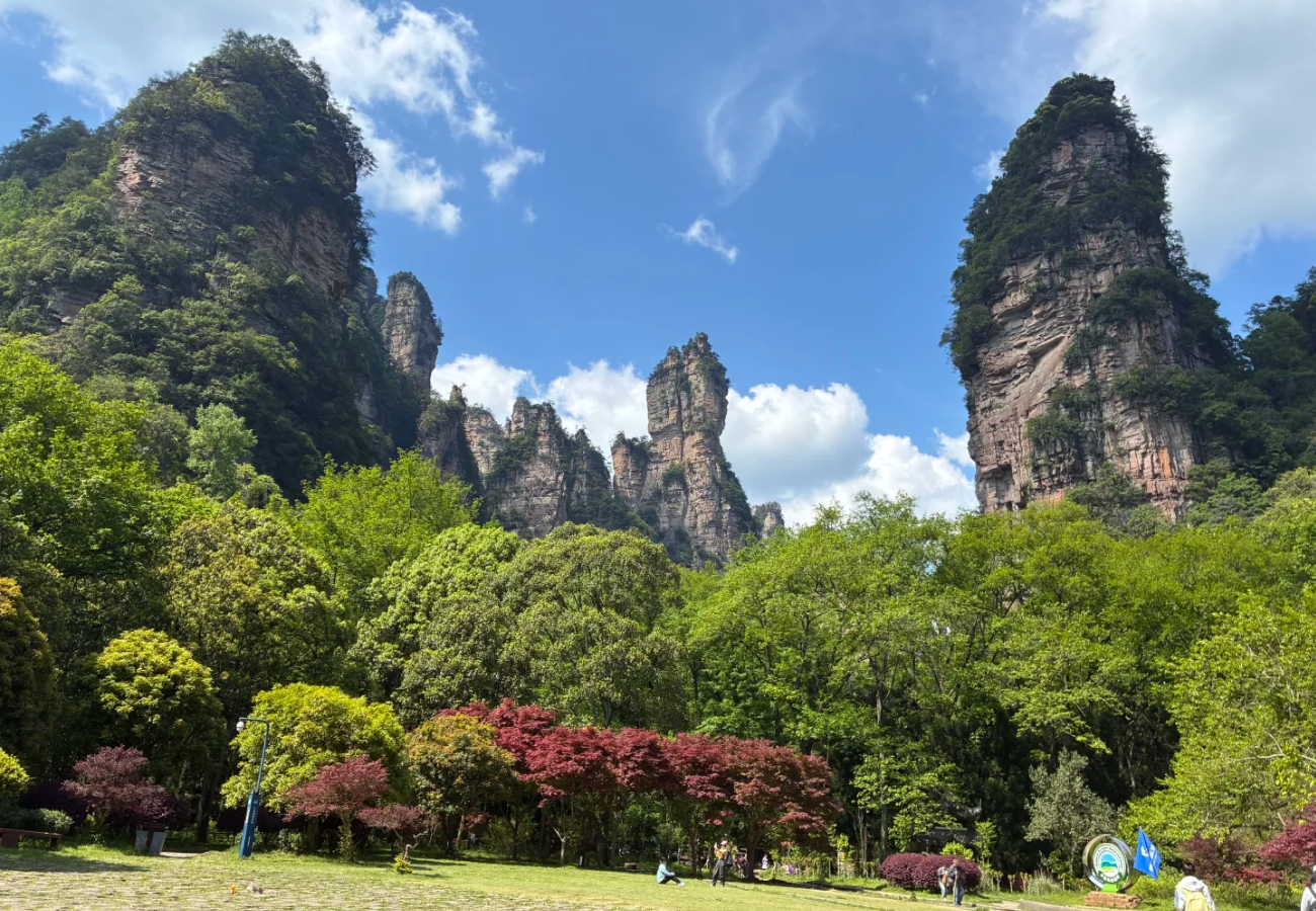 Golden Whip Stream in Zhangjiajie