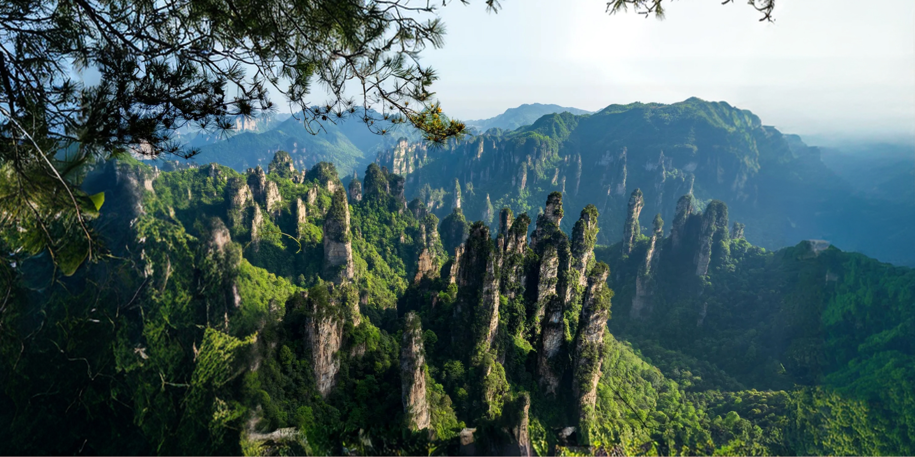 Zhangjiajie city view