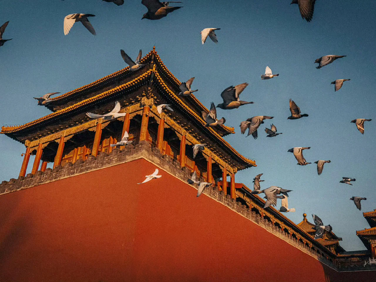 Forbidden Palace Tickets: Official Booking and Backup Plans
