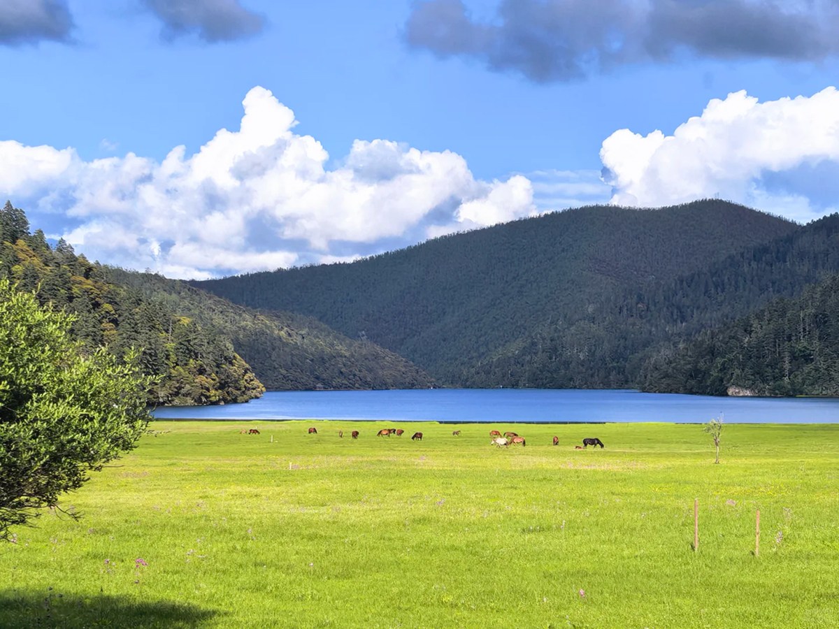 shangri la yunnan: How to Group Your Sightseeing